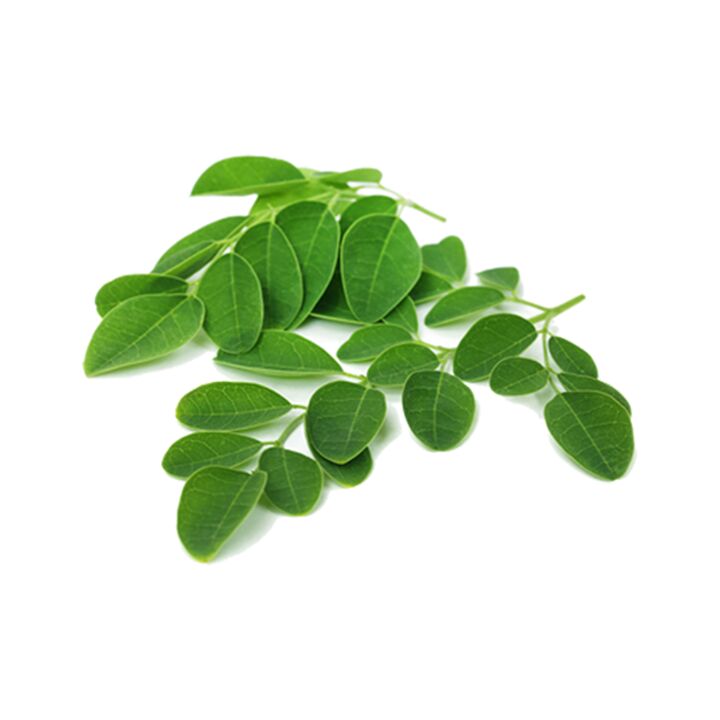 Normadex contains moringa leaves – a powerful natural remedy against parasites